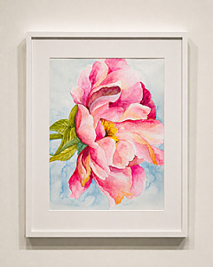 Pintura acuarela - Movimiento en Rosa
