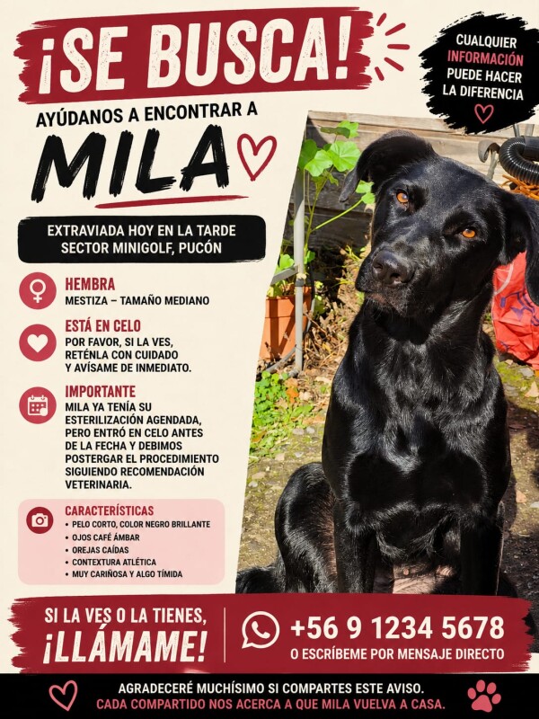 Mila