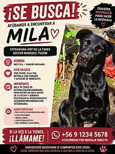 Mila