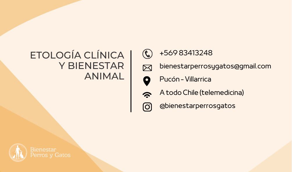 Foto de Bienestar Perros y Gatos, Etología clínica y bienestar animal