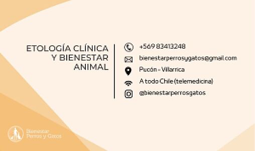 Bienestar Perros y Gatos, Etología clínica y bienestar animal