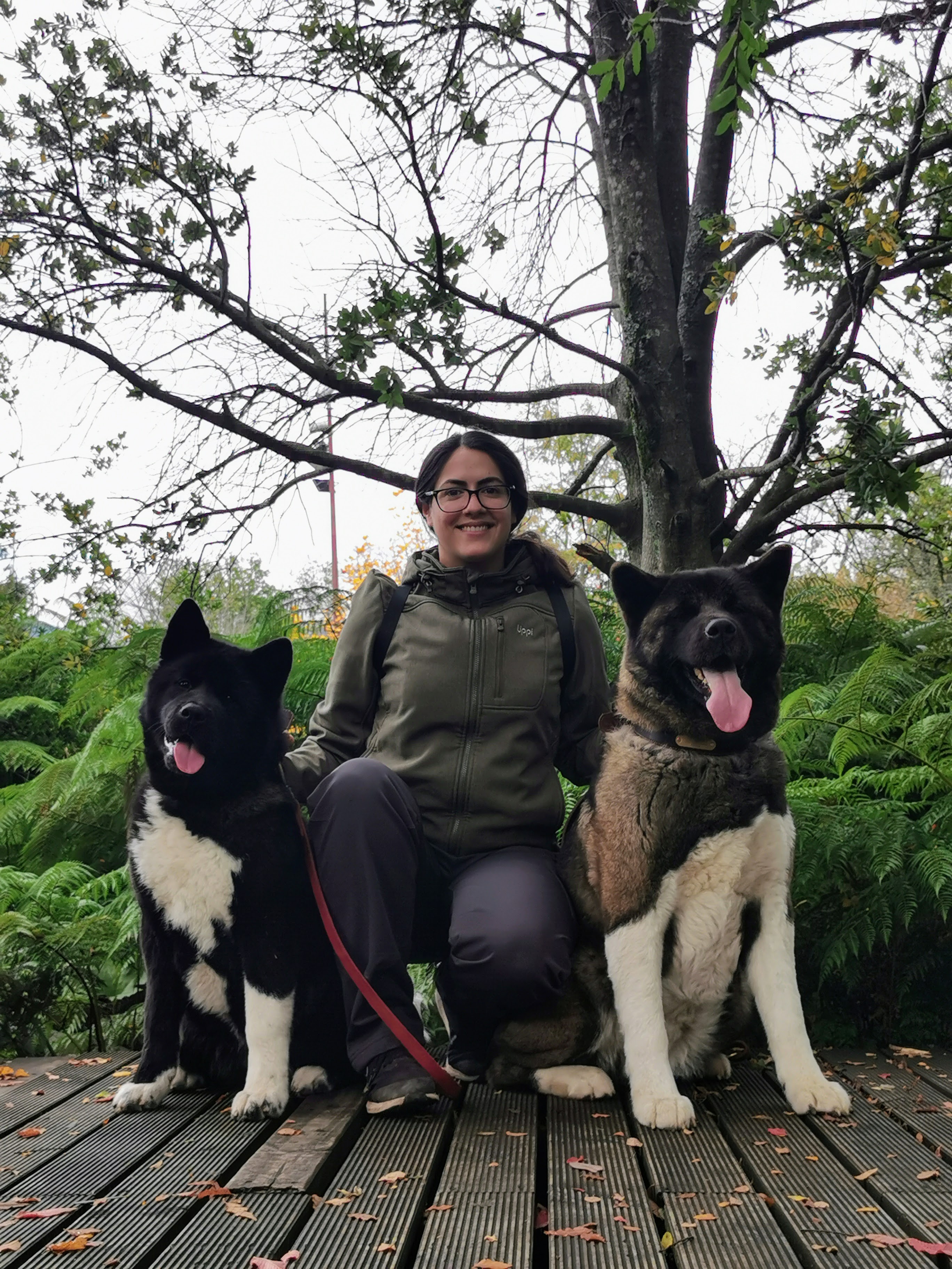 Foto de Adiestramiento Canino