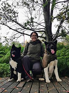 Adiestramiento Canino