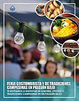 🔵 FERIA COSTUMBRISTA Y DE TRADICIONES CAMPESINAS 🔵