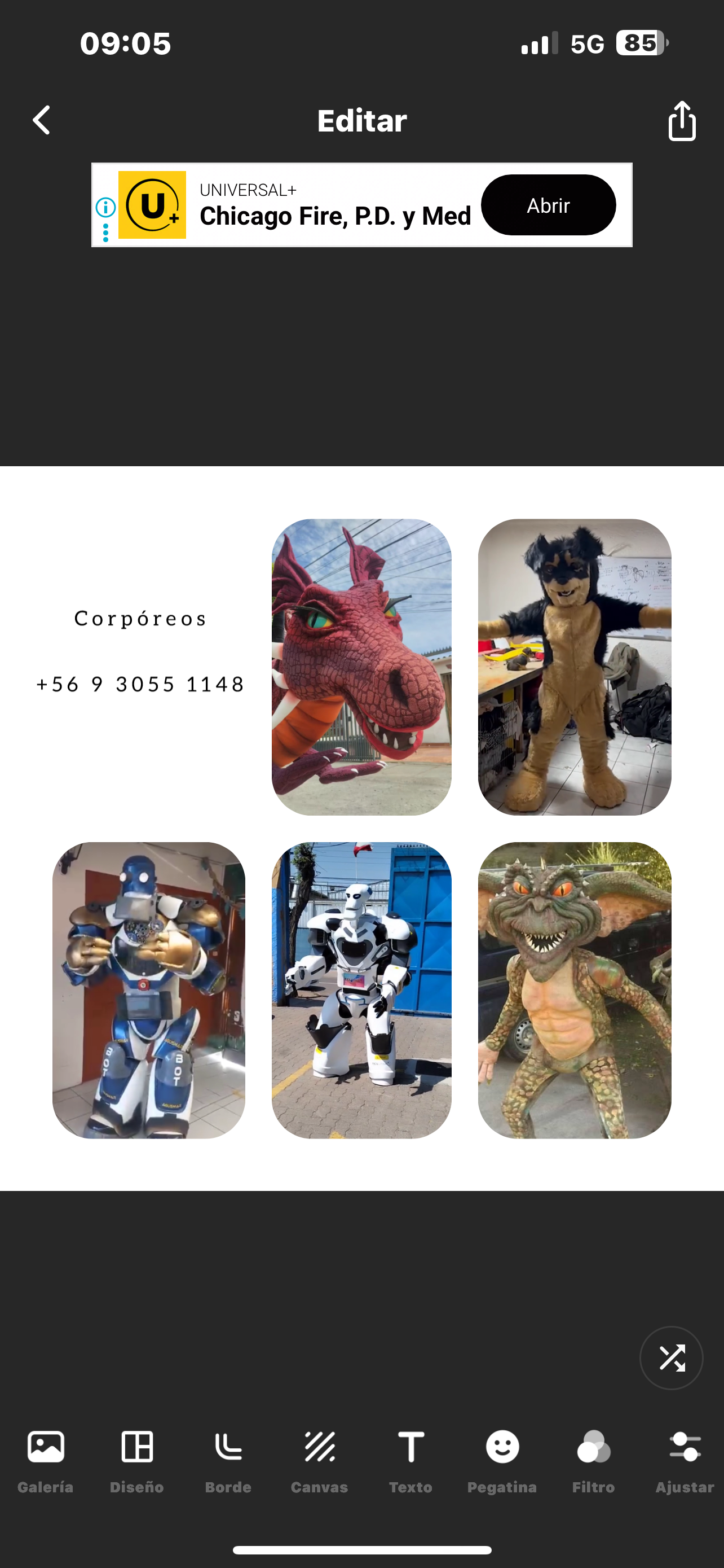 Corpóreos