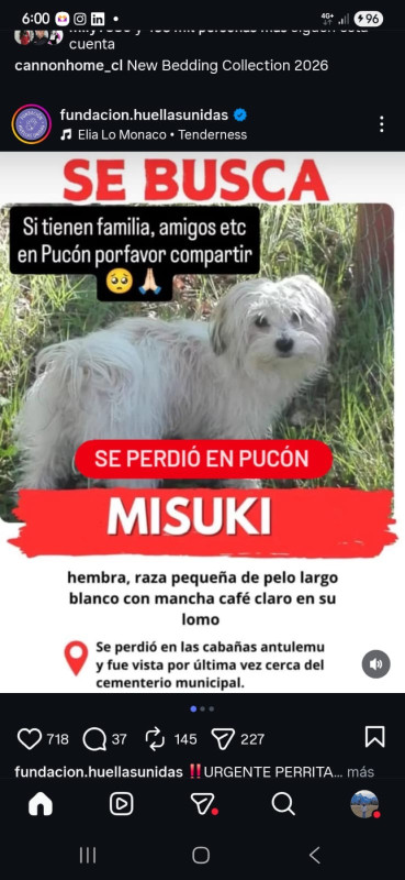 Misuki