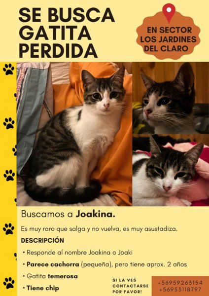 Joakina