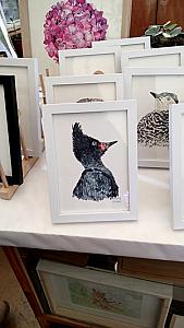 Pájaro carpintero hembra