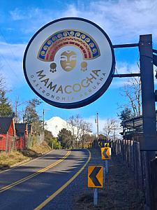 Mamacocha
