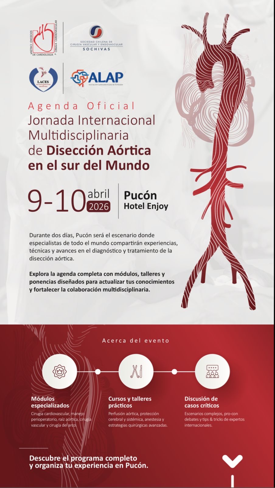 Jornada internacional Multidiciplinaria de Diseccion Aortica en el sur del Mundo